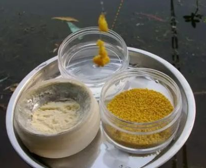 钓鱼粘粉的使用技巧讲解